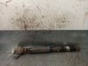 Rear shock absorber/damper 