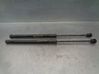 Tailgate/trunk strut/damper 1K8827550C