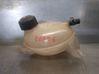 Fuel expansion tank 217107259R