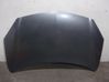 Engine bonnet/hood 651000024R