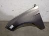 Fender 2171304