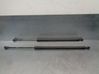 Tailgate/trunk strut/damper 51247149631