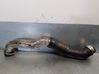 Air conditioning (A/C) pipe/hose 11617788357A