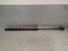 Front bonnet/hood damper/strut 13220159