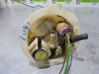 Bomba interna de combustible 3600