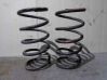 Front coil spring 