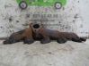Exhaust manifold 90500926