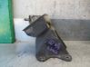 Engine mount bracket 4409223