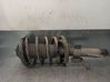 Amortiguador delantero con muelle espiral 824903553048