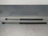 Tailgate/trunk strut/damper A4547400145