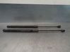Tailgate/trunk strut/damper 13247868