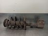 Front shock absorber with coil spring 5317