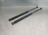 Tailgate/trunk strut/damper 817702F210