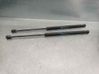 Tailgate/trunk strut/damper 46817935