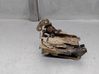 Rear door lock 7701031779