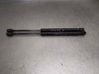 Tailgate/trunk strut/damper 2943RD0560N