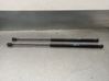 Tailgate/trunk strut/damper 3M51R406A10AB
