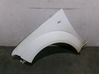 Fender 63101EB330