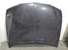 Engine bonnet/hood 41617043239