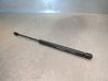 Tailgate/trunk strut/damper 8731H8