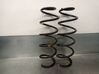 Front coil spring 9824895480