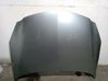 Engine bonnet/hood 1160013