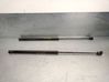 Tailgate/trunk strut/damper 904524F285