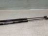Tailgate/trunk strut/damper 81780H8010