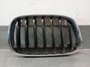 Front grill 7354824