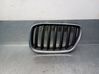 Front grill 51137124815