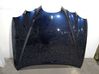 Engine bonnet/hood XR833820