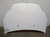 Engine bonnet/hood 1797477