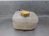 Fuel expansion tank 460029937