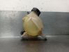 Fuel expansion tank 9800777280