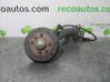 Rear wheel hub spindle/knuckle 7733106