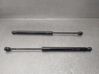 Tailgate/trunk strut/damper 904510001R