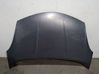 Engine bonnet/hood F51009U0M0