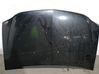 Engine bonnet/hood 651003119R