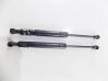 Tailgate/trunk strut/damper 