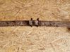 Rear leaf spring 