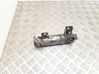 EGR valve cooler 55202430