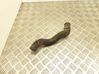 Engine coolant pipe/hose 9128807