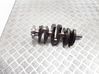 Crankshaft TL020