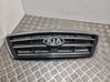 Front bumper upper radiator grill 