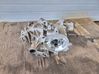 Electric car Transmission 9834601110