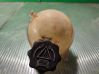 Fuel expansion tank 