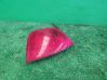 Rear/tail lights 1M5115K273A