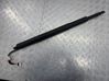 Tailgate strut 745341309