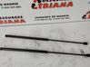 Tailgate/trunk strut/damper 