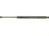 Tailgate/trunk strut/damper 51247060623
